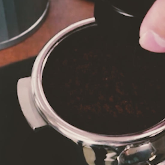 Tamper WDT Video Home Roast